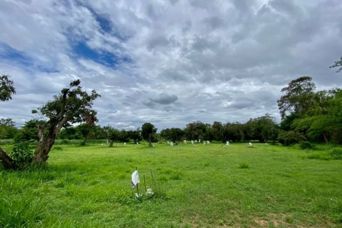 A nice plot for sale in San Sai