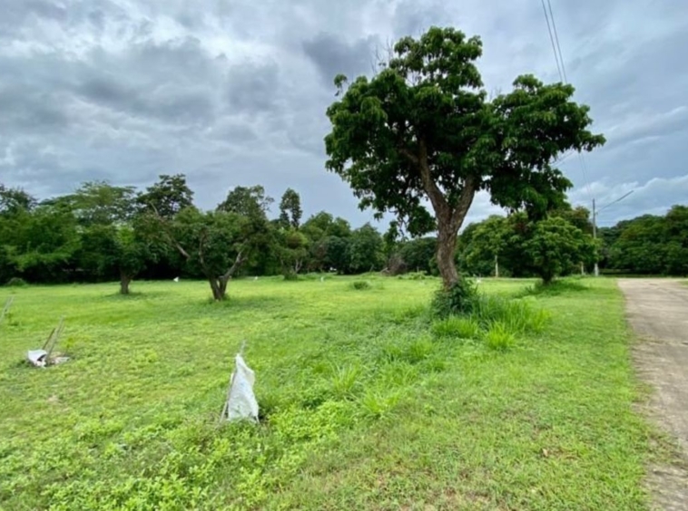 A nice plot for sale in San Sai