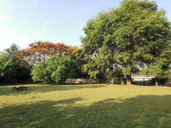 A nice plot ready to build for sale in Muang Chiang Mai-P-PLS928