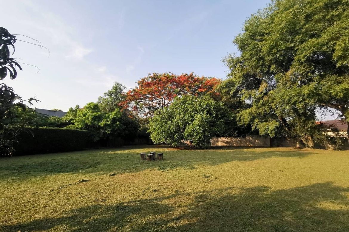 A nice plot ready to build for sale in Muang Chiang Mai-P-PLS928