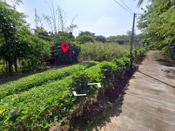 Property id016ls Land for sale in Saraphi 2- 0- 63 Rai  near Wat Ko Prajamhong-MR-016ls