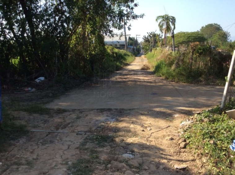 Property id016ls Land for sale in Saraphi 2- 0- 63 Rai  near Wat Ko Prajamhong-MR-016ls