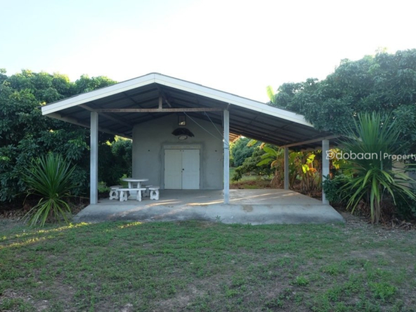 Beautiful 8-acre land plot with a lychee orchard