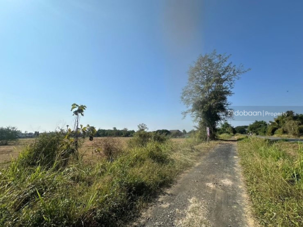 Beautiful 14 rai 1 ngan 55 square wah land plot in San Pa Tong zone