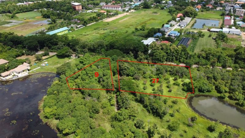 San Sai-DSP-(LS357-01) 1 Rai of Nice Land for Sale in Pha Pai