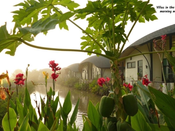 Luxury Resort Estate in Chiang Mai's Doi Saket Rice Paddies-TNP-D1175