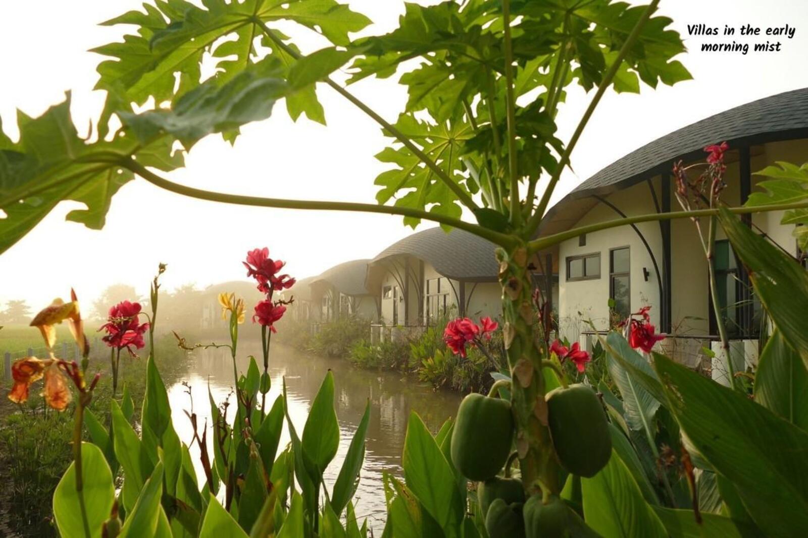 Luxury Resort Estate in Chiang Mai's Doi Saket Rice Paddies-TNP-D1175