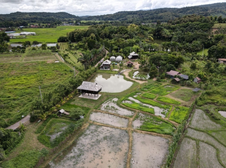 5 House Thai Style Complex in Mae Rim-TNP-D1001