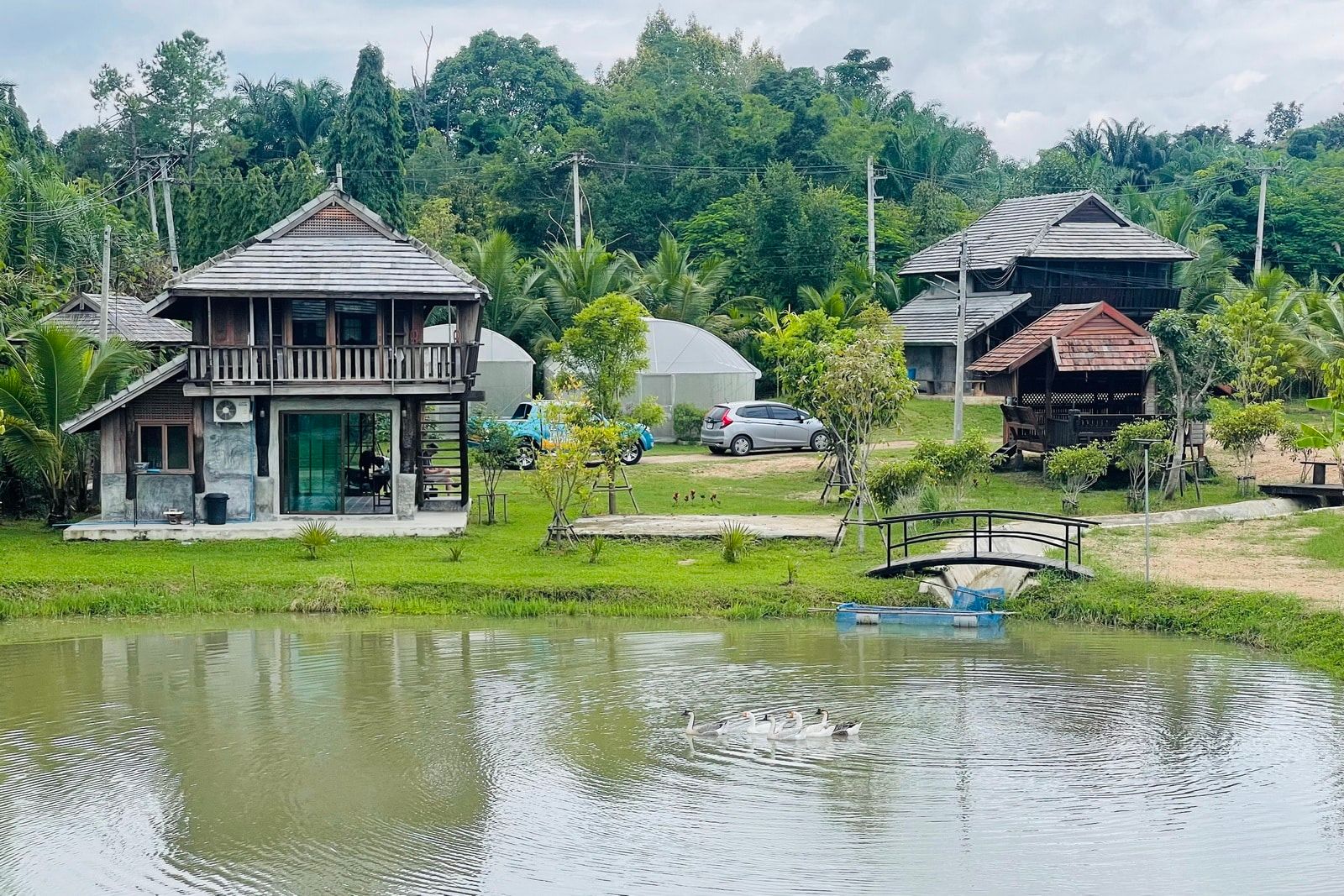 5 House Thai Style Complex in Mae Rim-TNP-D1001