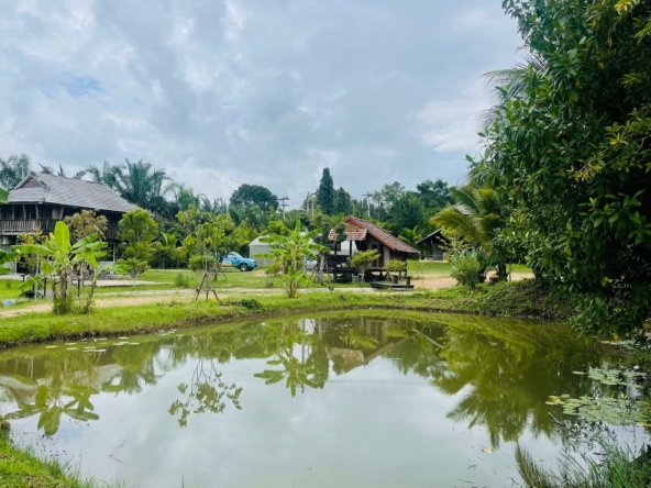 5 House Thai Style Complex in Mae Rim-TNP-D1001