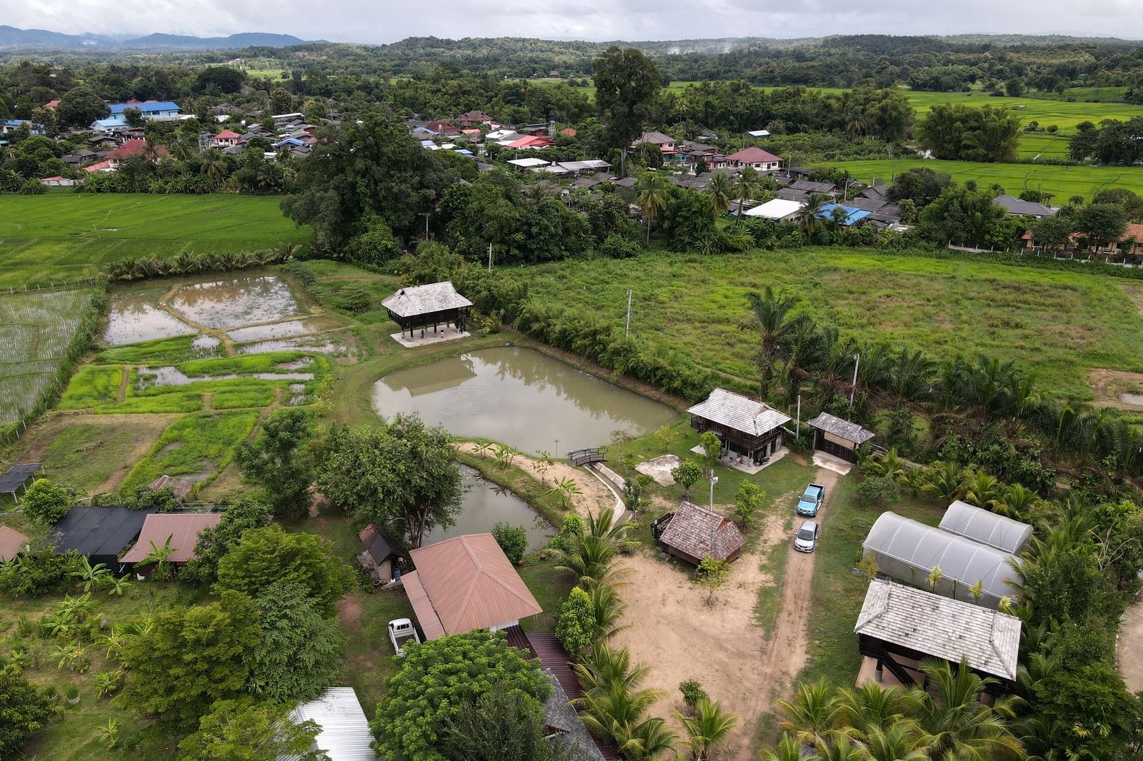 5 House Thai Style Complex in Mae Rim-TNP-D1001