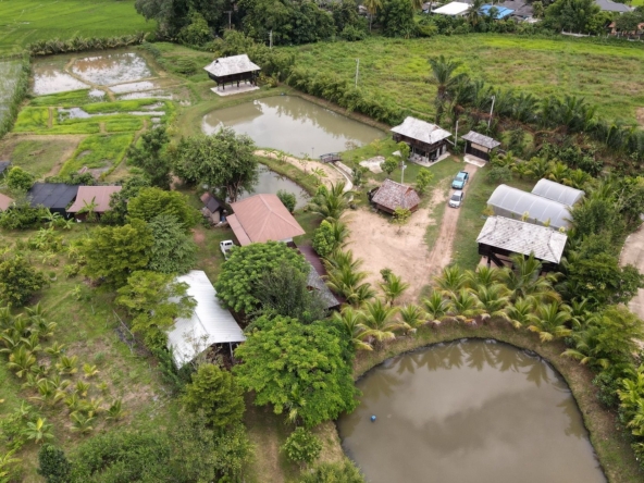 5 House Thai Style Complex in Mae Rim-TNP-D1001