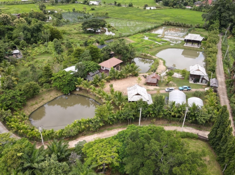 5 House Thai Style Complex in Mae Rim-TNP-D1001