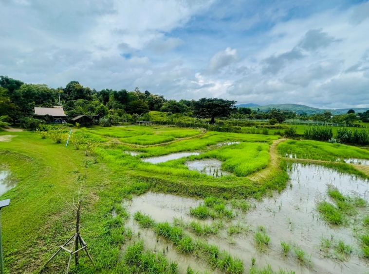 5 House Thai Style Complex in Mae Rim-TNP-D1001