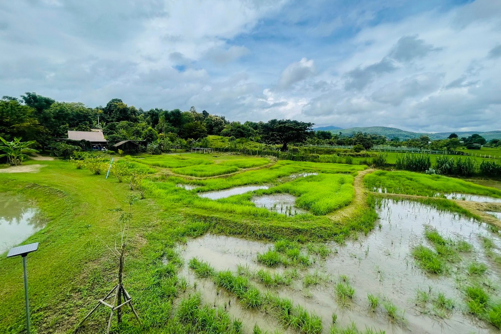 5 House Thai Style Complex in Mae Rim-TNP-D1001