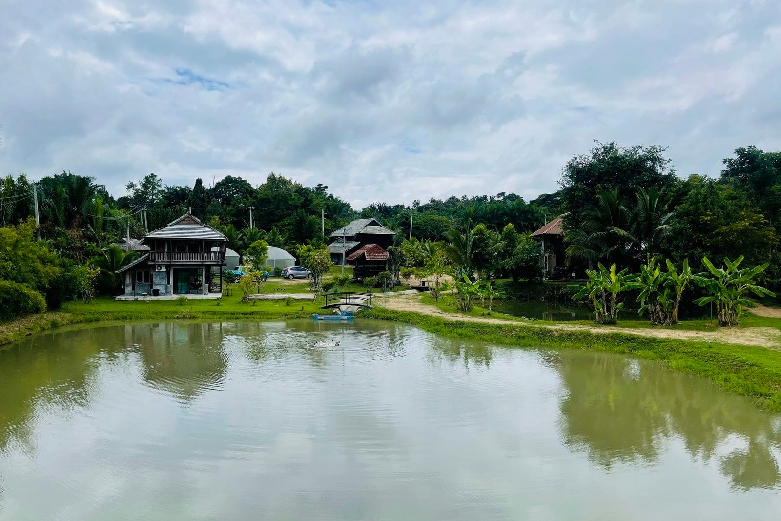 5 House Thai Style Complex in Mae Rim-TNP-D1001