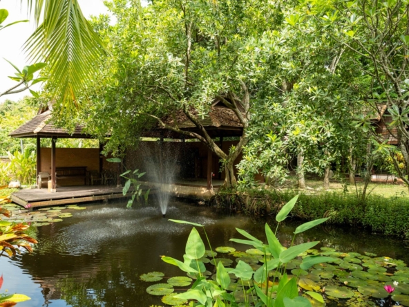 Lanna and Traditional House Complex in San Pa Tong-TNP-D1057