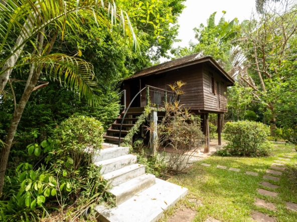 Lanna and Traditional House Complex in San Pa Tong-TNP-D1057