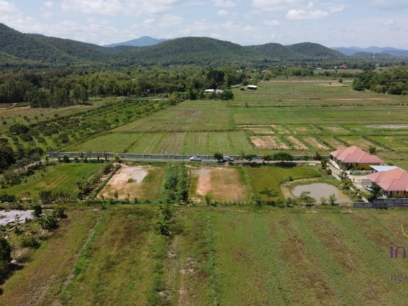 Wonderful established self-sufficient farm for sale with 2 well-built houses in the countryside in Lamphun-I-3690