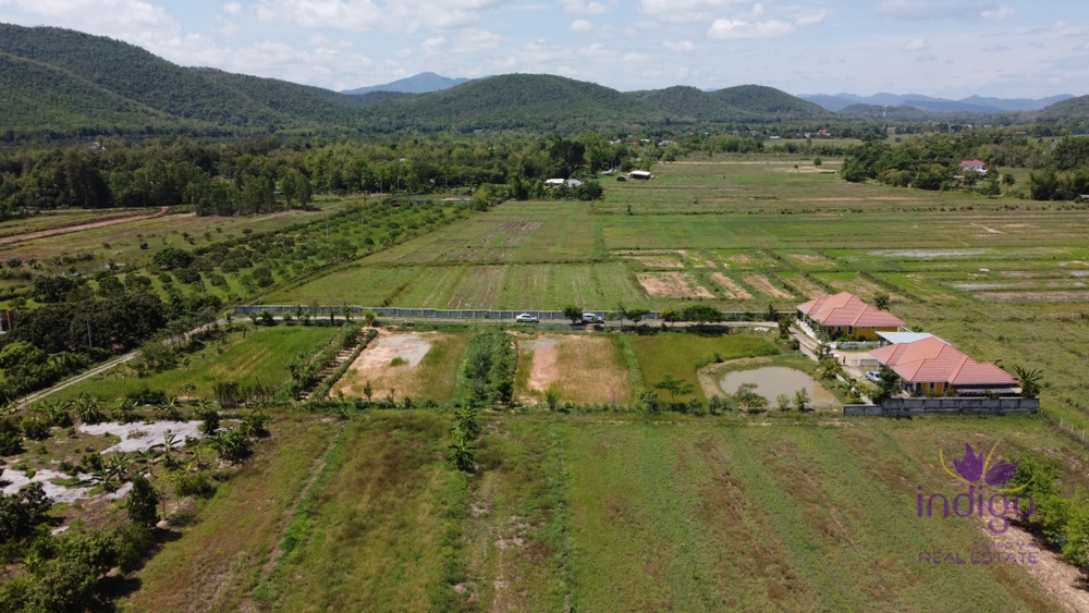 Wonderful established self-sufficient farm for sale with 2 well-built houses in the countryside in Lamphun-I-3690