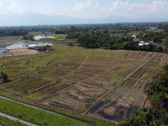 Land for sale 12 Rai 88 Sqw Paphai Sansai Chiangmai-I-3624