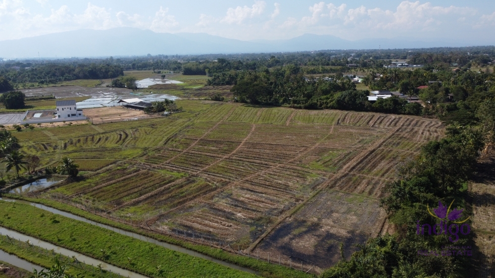 Land for sale 12 Rai 88 Sqw Paphai Sansai Chiangmai-I-3624