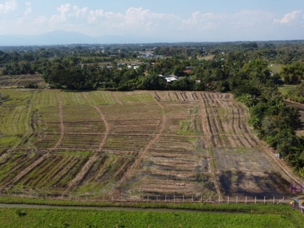 Land for sale 12 Rai 88 Sqw Paphai Sansai Chiangmai-I-3624