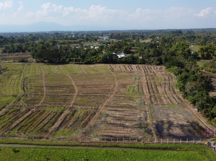 Land for sale 12 Rai 88 Sqw Paphai Sansai Chiangmai-I-3624