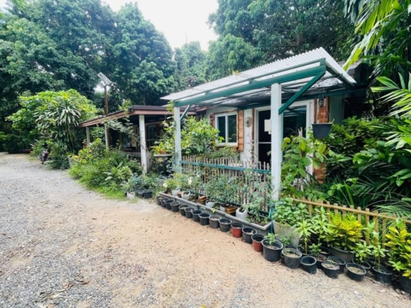 Garden house next to the Ping River Amidst nature