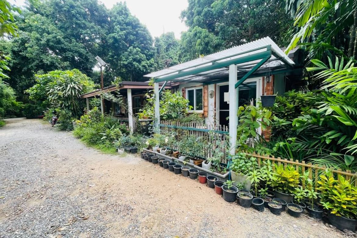 Garden house next to the Ping River Amidst nature