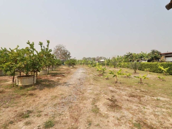 A large house on 14 rai of land for sale