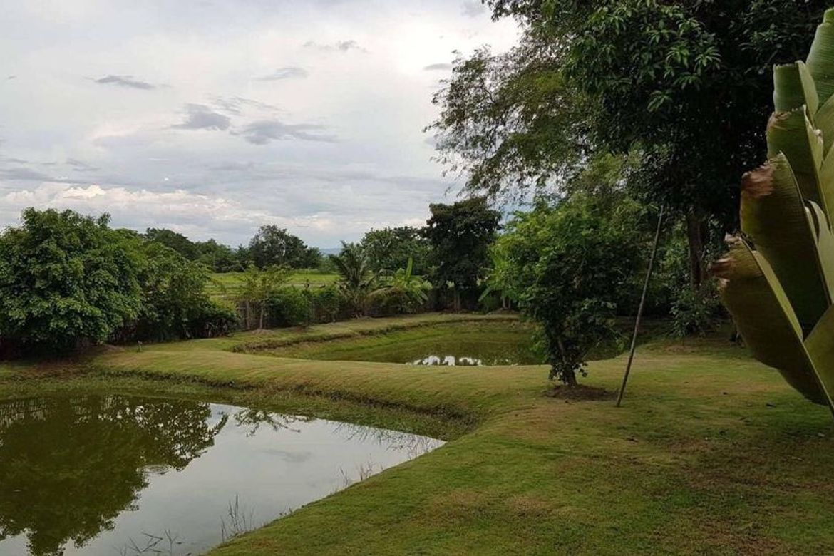 House for sale in Doi Saket, Chiang Mai, Baan Suan, rice field, mountain view, quiet