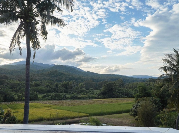 Chiang Mai-KMP-013577