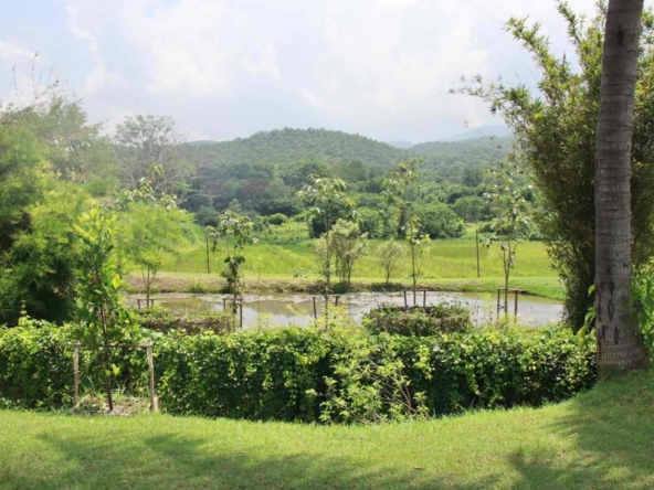 Chiang Mai-KMP-013577