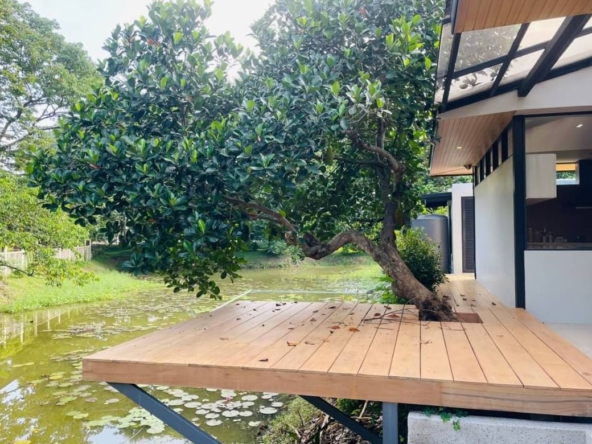 the back of the house is next to the water surrounded by big trees-CMB-CMB04787