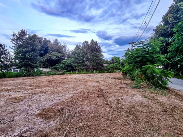 What Will You Build? 250 Sq Wah of Potential in Charming Naam Phrae