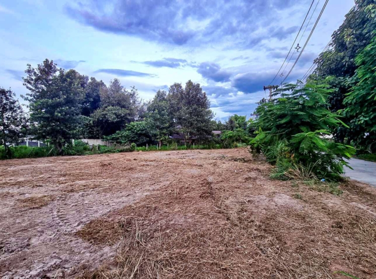 What Will You Build? 250 Sq Wah of Potential in Charming Naam Phrae