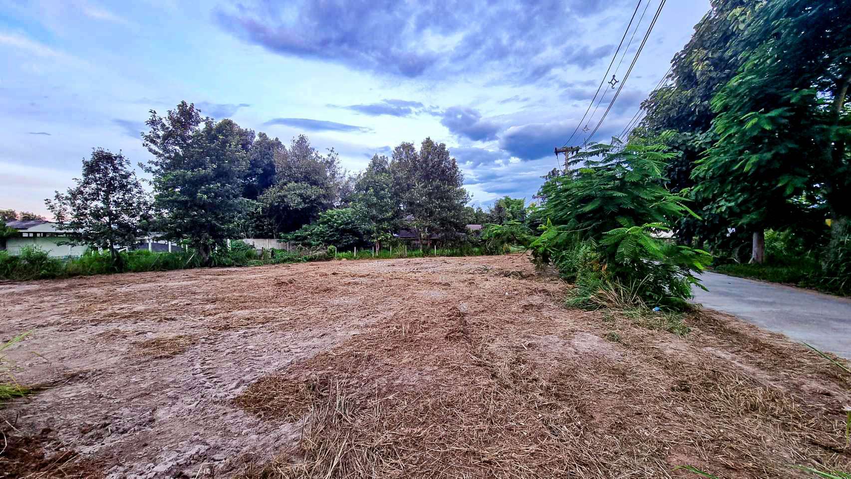 What Will You Build? 250 Sq Wah of Potential in Charming Naam Phrae