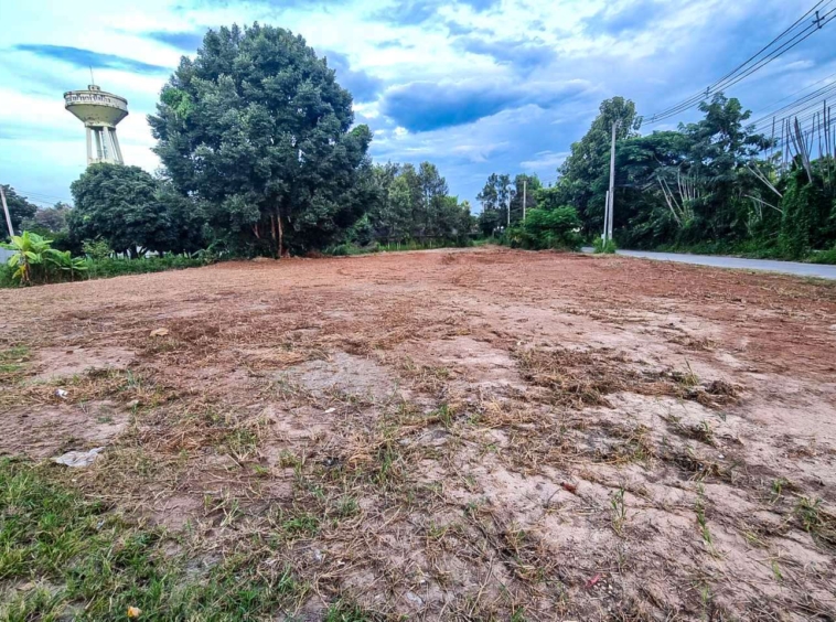 Your Dream Begins Here: 237 Sq Wah Land in Naam Phrae