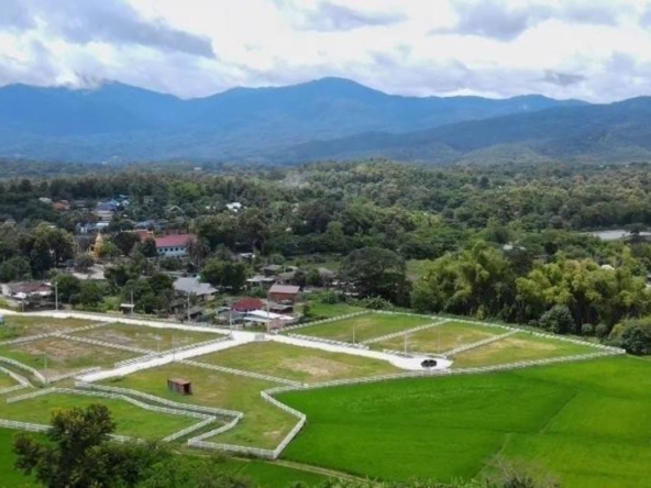 For sale stunning Mountain View plot of land in Mae Rim