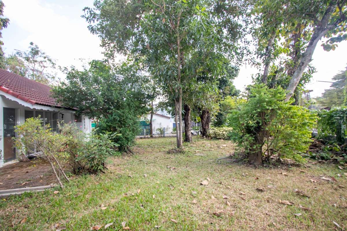 Land for Sale : Prime Location Near Wat Umong