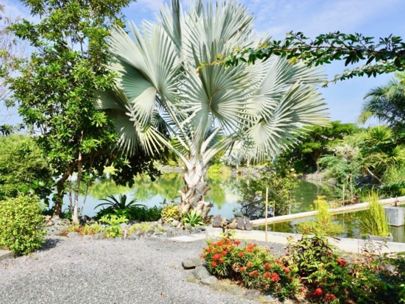 3 bed one storey house for sale in Mae Rim