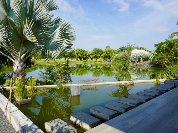 Chiang Mai-P-PHS214