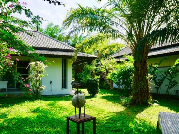 Chiang Mai-P-PHS214