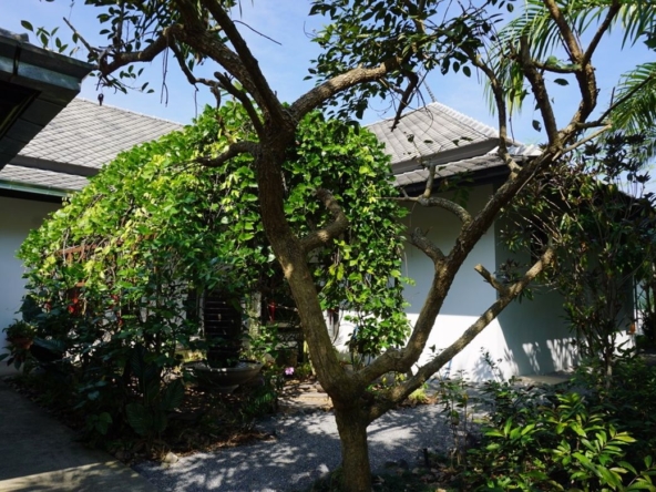 Chiang Mai-P-PHS214