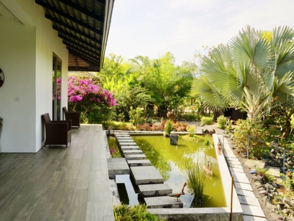 Chiang Mai-P-PHS214