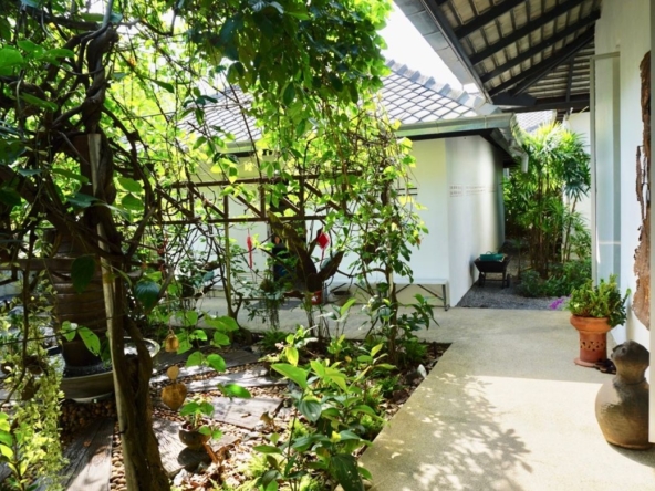 Chiang Mai-P-PHS214