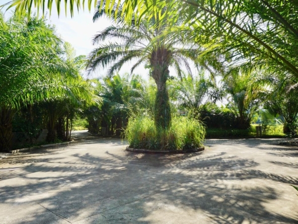 Chiang Mai-P-PHS214