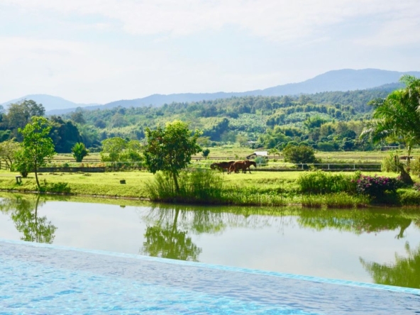 Chiang Mai-P-PHS214