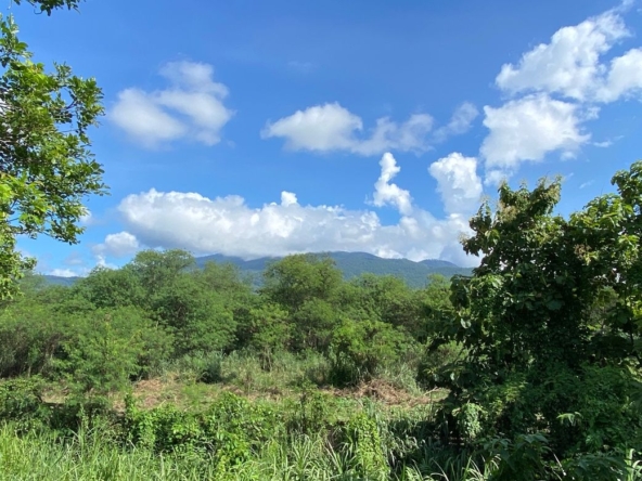 Chiang Mai-P-PHS1047
